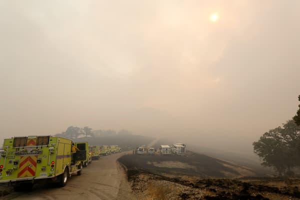 Des pompiers luttent contre l'incendie Lake Fire, dans le comté de Santa Barbara, en Californie, le 7 juillet 2024.