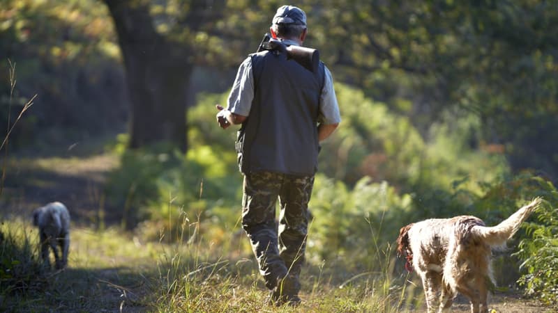Un homme marche avec son chien lors d'une partie de chasse à Itxassou, en France, le 11 septembre 2016. (photo d'illustration)