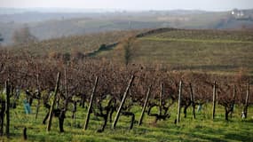 James-Bernard Murat, viticulteur en Gironde, a pulvérisé de l'arsénite de sodium sur ses vignes pendant plus de 40 ans.