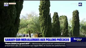 Sanary-sur-Mer: attention aux allergies précoces aux pollens