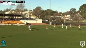 Un drôle d’intrus interrompt un match en Australie