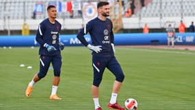 Hugo Lloris et Alphonse Areola 
