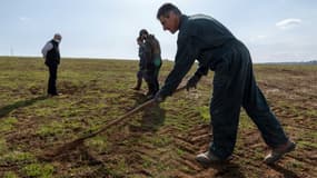 Philippe Rodier (d) tente de réparer les dégâts causés par les campagnols dans un champ à Gourdièges, le 4 mars 2021