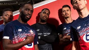 LOSC