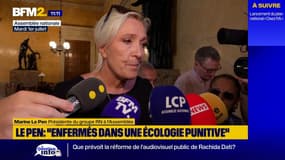 Motion de censure PS : le RN ne la votera pas car "elle n'apporte rien aux Français"