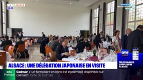 Alsace: une délégation japonaise en visite dans la région