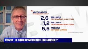Antoine Flahault sur la vaccination: "Peut-être que des mesures de temps de guerre n’ont pas été prises"