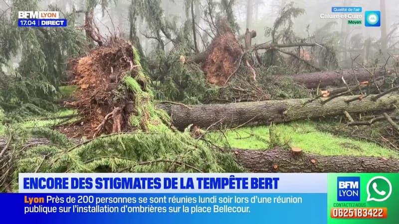 Rhône: la tempête Bert a fait des dégâts dans plusieurs villes, les stigmates encore visibles