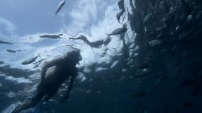 Un plongeur a été retrouvé mort au fond d'une fosse d'entraînement d'un centre de plongée sous-marine de Haute-Savoie. Photo d'illustration