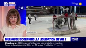 Les Scorpions de Mulhouse: liquidation en vue pour le club de hockey?
