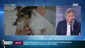 Maltraitance animale: "On ne sais pas ce qui l'emporte de la cruauté ou de la connerie...