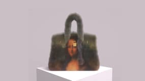 Exemple d'un des sacs "numériques" vendus par Mason Rothschild