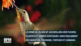 La plus grande serre tropicale du monde sera française