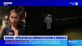 Dengue: opération de démoustication à Monaco cette nuit