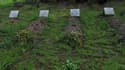 Les tombes de quatre des sept moines de Tibéhirine, assassinés la nuit du 26 au 27 mars 1996. (Photo d'illustration) 