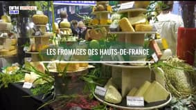 Agriculteurs, éleveurs, producteurs, pêcheurs des Hauts-de-France : Les fromages des Hauts-de-France
