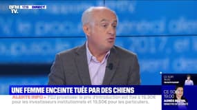 Femme enceinte tuée par des chiens: "Nos chiens sont tout sauf agressifs, ce ne sont pas des chiens d'attaque" (président de la Société de vènerie)