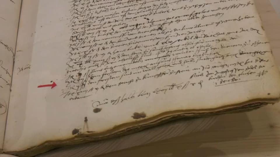 La première mention du sapin comme décoration de Noël se trouve dans un manuscrit du registre des comptes de l'année 1521 de Sélestat, en Alsace. La première mention du sapin comme décoration de Noël se trouve dans un manuscrit du registre des comptes de l'année 1521 de Sélestat, en Alsace.