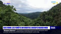 Bas-Rhin: l'accès aux forêts interdit jusqu'à mardi midi 