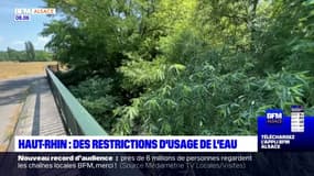 Haut-Rhin: de nouvelles mesures de restriction d'usage de l'eau