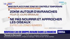 Un nouveau cas de grippe aviaire signalé dans la Manche autour d'Avranches