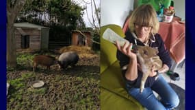 Véronique Consolo et Woody, sur son terrain à gauche, et en train de boire un biberon à droite.