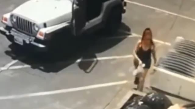 Une femme est recherchée après avoir jeté des chiots dans une poubelle