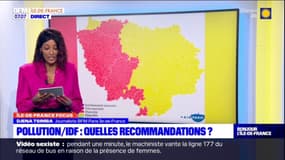 Pollution en Ile-de-France: quelles recommandations?