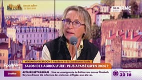 Tomates cerises: 85% des exportations du Maroc vers l'Europe viennent en France