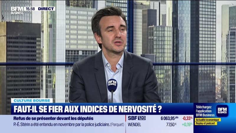 Culture Bourse : Faut-il se fier aux indices de nervosité ?, par Julie Cohen-Heurton - 10/12