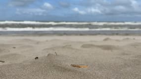 Une plage (Photo d'illustration)