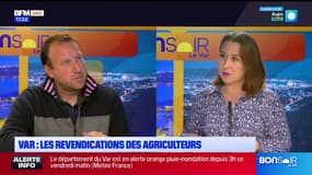 Var: les agriculteurs demandent des vaccins contre la fièvre catarrhale ovine