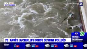 Yvelines: après la crue, les bords de la Seine pollués