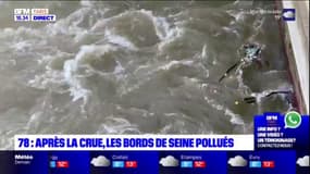 Yvelines: après la crue, les bords de la Seine pollués