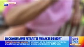 La Cayolle : une retraitée menacée de mort