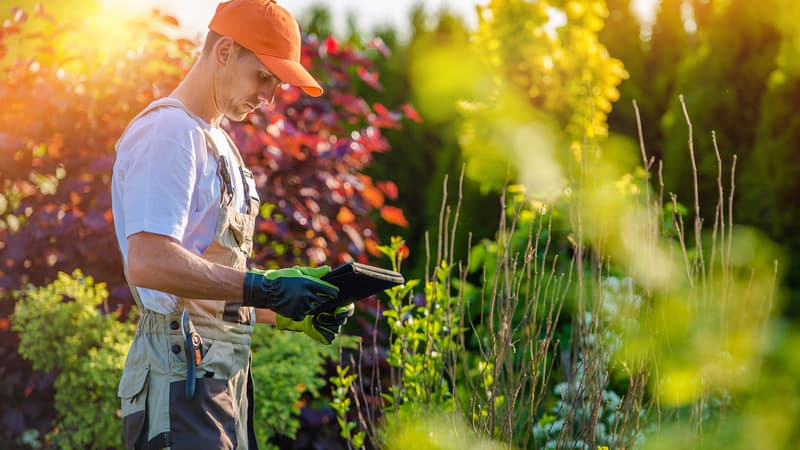 Les particuliers et les entreprises font de plus en plus appel aux jardiniers et paysagistes