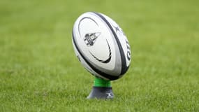 Ballon de rugby.