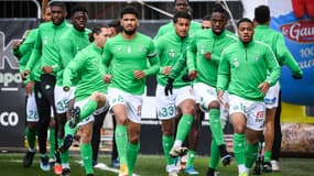 Les Verts sont en crise