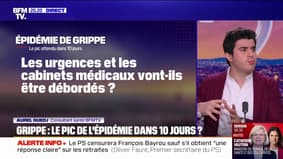 Grippe : vers un pic épidémique dans 10 jours ?