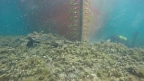 Vue sous-marine du cargo échoué sur la côte de Bonifacio