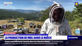 Tout terrain du dimanche 1er octobre 2023 - La production de miel dans le Buëch