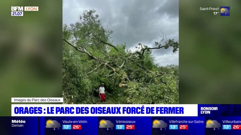 Ain: après les orages, le Parc des oiseaux de Villars-les-Dombes a dû rester fermer ce mardi