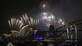 Le feu d'artifice de Sydney, le 31 décembre 2013.