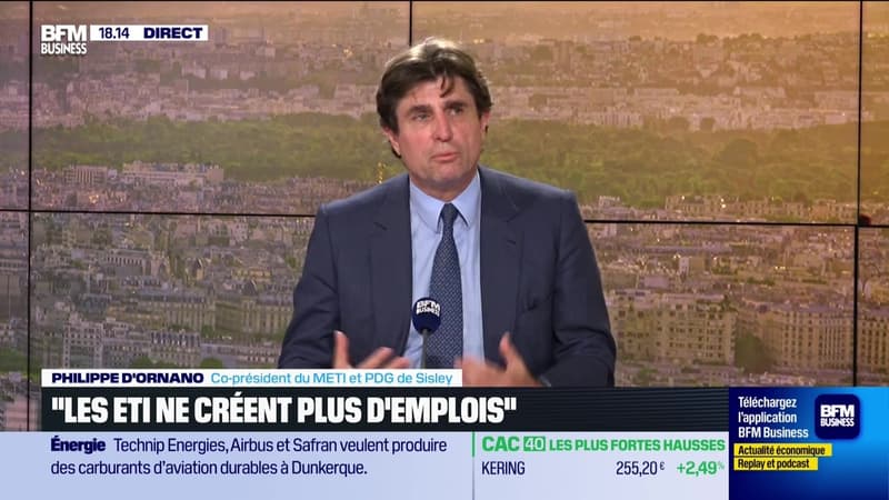 Philippe D'Ornano (Sisley) : "Notre compétitivité se dégrade