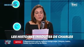 « Les histoires de Lisa-Marie » : GoDaddy dupe ses employés avec un faux bonus de Noël - 28/12