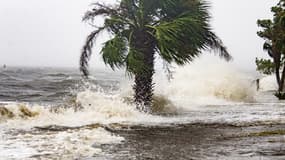 Le vent s'intensifie et les vagues prennent de l'ampleur ce mercredi, alors que l'ouragan Michael a touché terre en Floride.