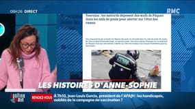 « Les 3 histoires de Charles Magnien » : Des œufs de Pâques déposés par des motards en Touraine, les bienfaits du chocolat et la ville la plus infidèle en France - 05/04