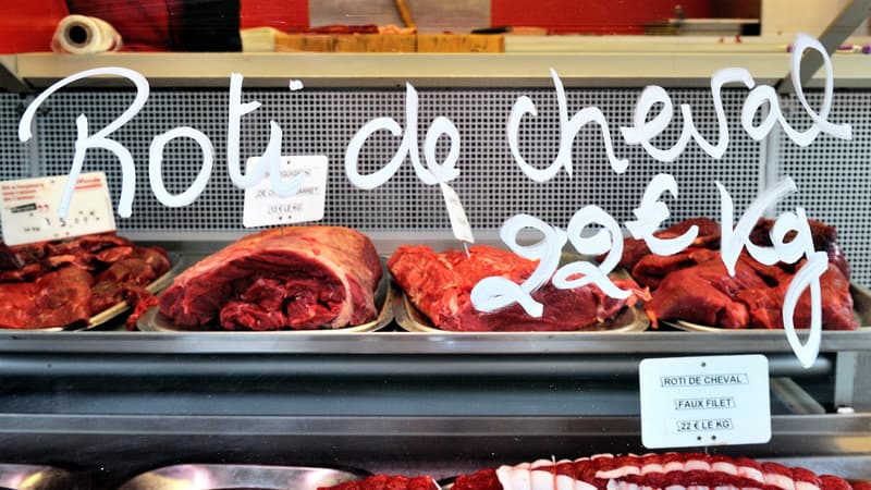 "Une source de protéines qui est mise à la poubelle": alors que 40.000 chevaux partent à l'équarrissage par an, la filière française de la viande chevaline a bon espoir de convaincre les jeunes d'en manger à nouveau