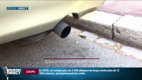 A Sceaux, ne pas couper son moteur à l'arrêt sera désormais passible d’une amende de 135 euros