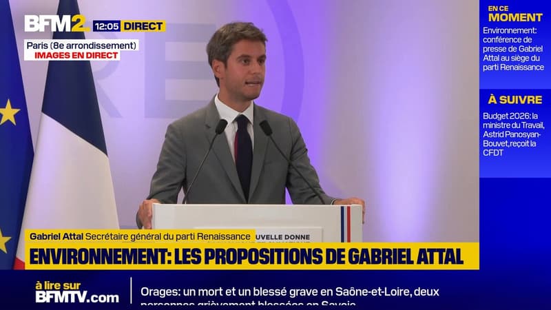 Loi Duplomb: Gabriel Attal évoque un risque de 